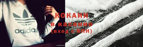 шишки Вяземский