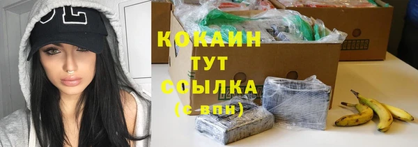 шишки Вяземский