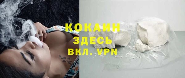 шишки Вяземский