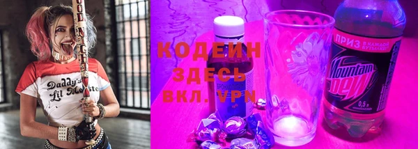 шишки Вяземский