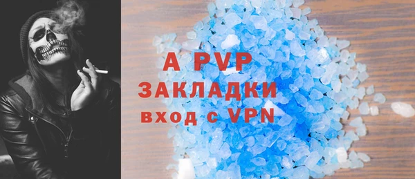 СК Сафоново