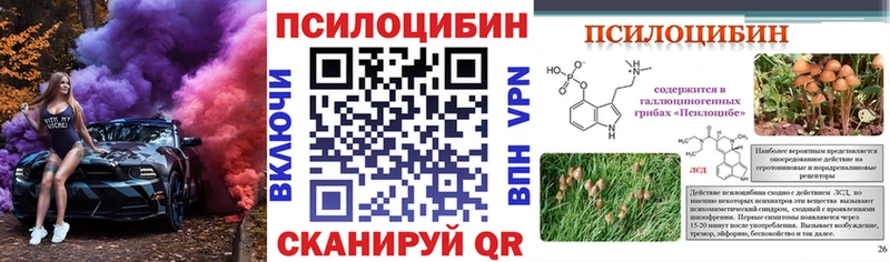 omg рабочий сайт  наркошоп  Осинники  Псилоцибиновые грибы мухоморы 