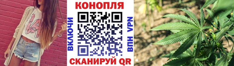 Бошки марихуана Amnesia Осинники